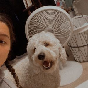 Meet your Posher, Emma